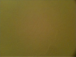 Interior Gypsum Plaster